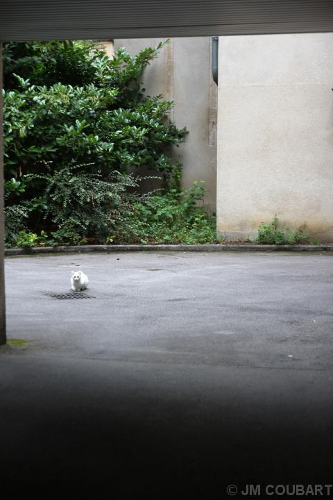 Vous avez atteint la dernire diapositive